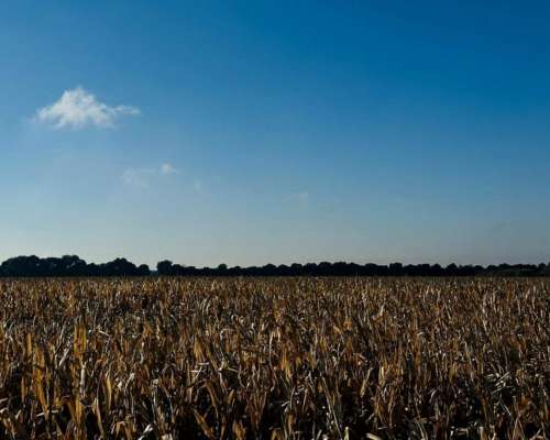 Luján, Buenos Aires - 57,6 Ha