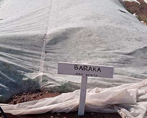 Finca 719 Has en Anta (salta) con Agua, Casa e Invernaderos