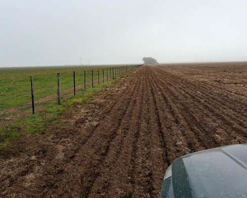 220 Ha Cabildo, Tornquist
