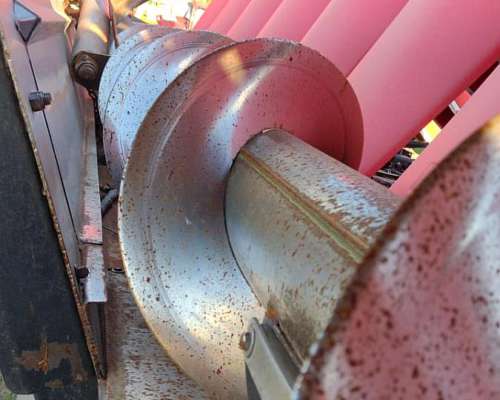 Cabezal Maicero Ombú de 18 a 52 año 2018