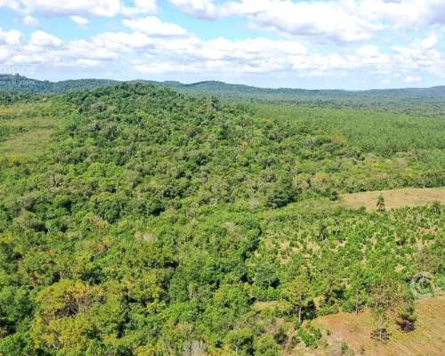 Se Vende 29 HA. con 4 Ha de Yerba Mate. Gobernador Roca Misi