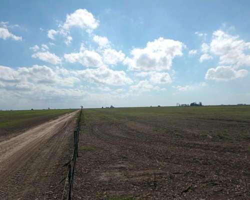 Campo en Venta. SUR de Santa FE. Zona Núcleo