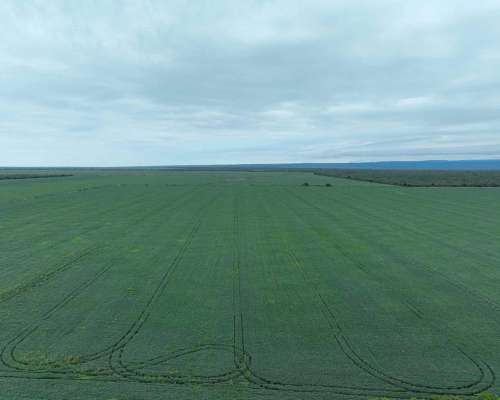 Pcia. de Catamarca - Bañado de Ovanta 437 Ha