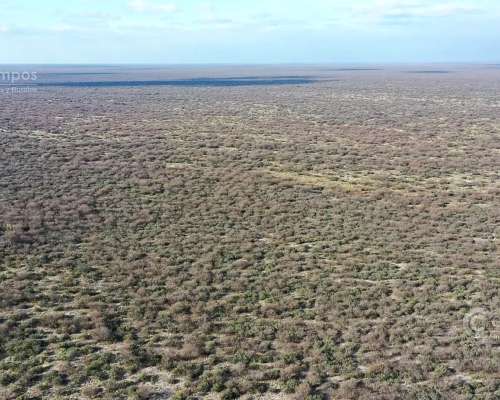 Se Vende Campo Ganadero de 3500 Ha en Mendoza, Argentina