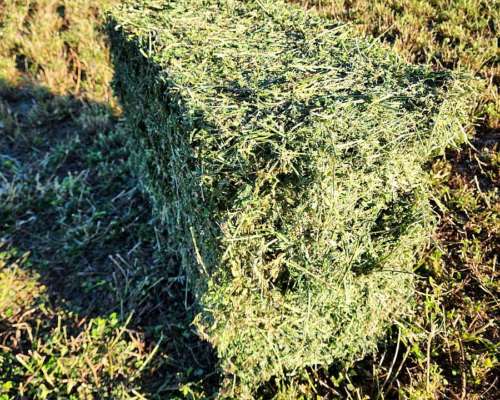 Vendo Rollos - Megafardos - Fardos