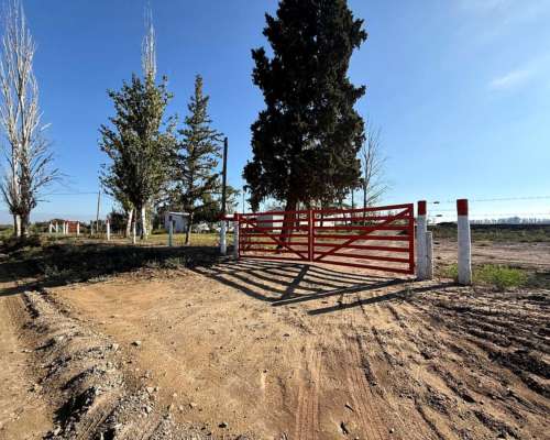 Finca en la Pega 25ha con Goteo