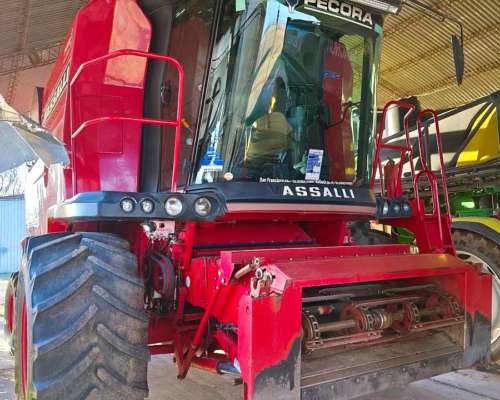 Vassalli 7500 Lider Unica