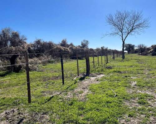 Campo Ganadero en Laguna Paiva