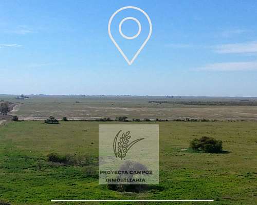 Venta- Campo en Cintra- CBA
