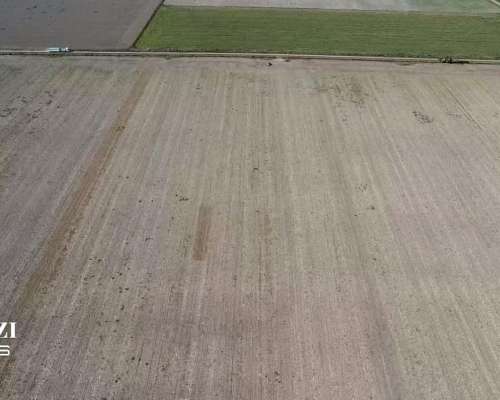 25 Has Agricolas en Humboldt. Suelo Clase 1 - IP 79%.
