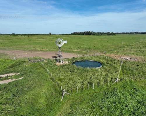 Mercedes, Buenos Aires - 701 Ha