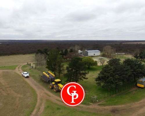 En Venta 324 Has, Santa Rosa , la Pampa.