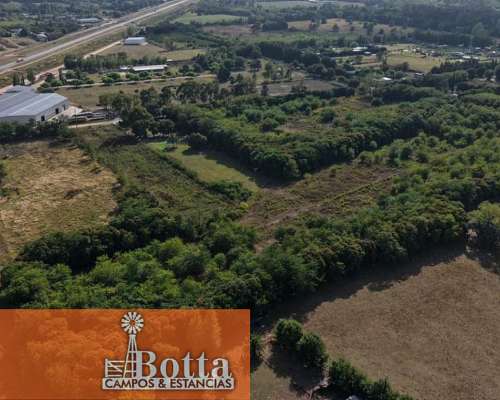 Chacra en Venta Nuez Pecán 13has Mercedes, Buenos Aires