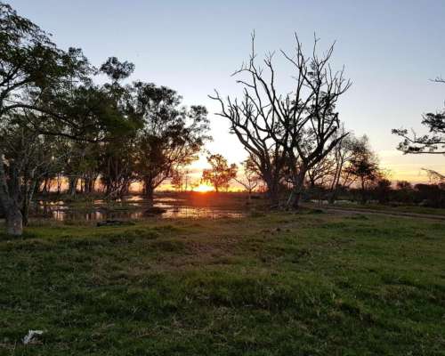 La Cigueña, Vera, Santa FE - 4.000 Ha