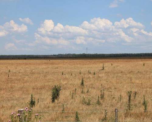 Ba3204 Venta 1800 Has. Mixto las Flores Buenos Aires