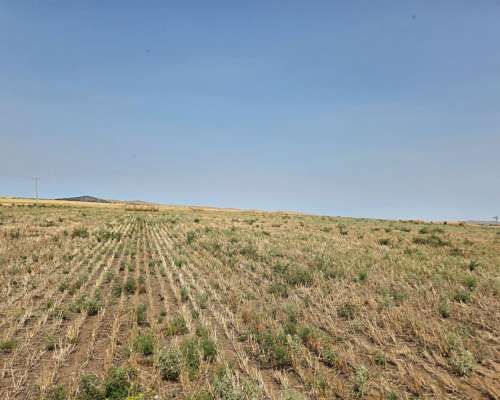 154 Has en Dique Paso de las Piedras