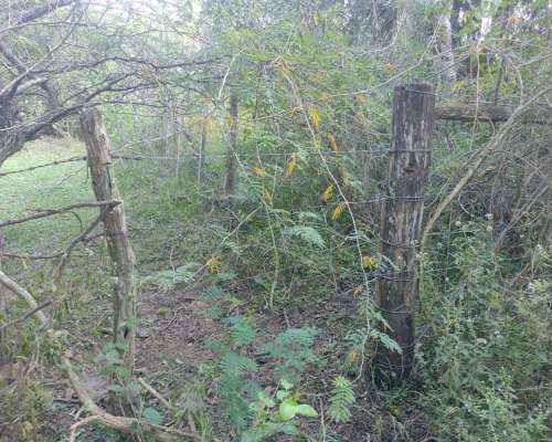 36 Has en la Paz, Entre Rios