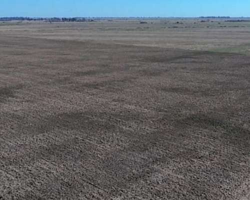 Se Vende Campo Agricola - los Surgentes