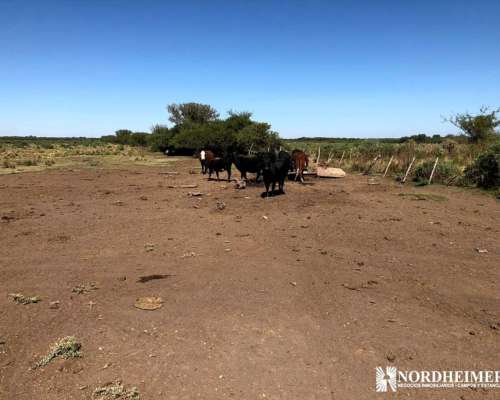 Concaran, Chacabuco, San Luis, Argentina