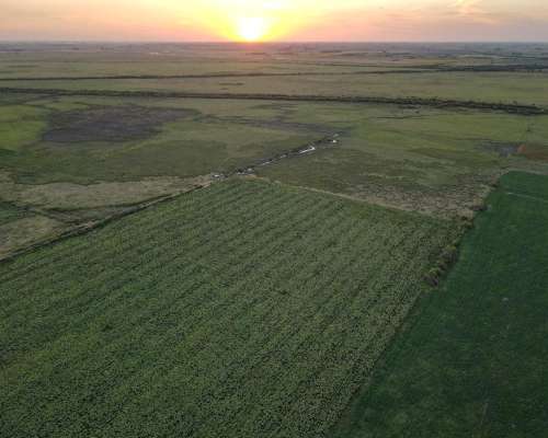 590 Ha - San Genaro (santa FE) - Ganadero