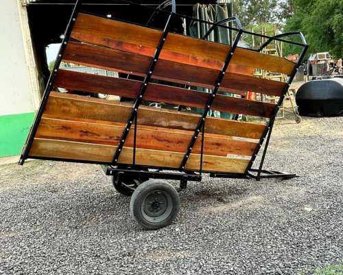 Cargador de Hacienda Nuevo