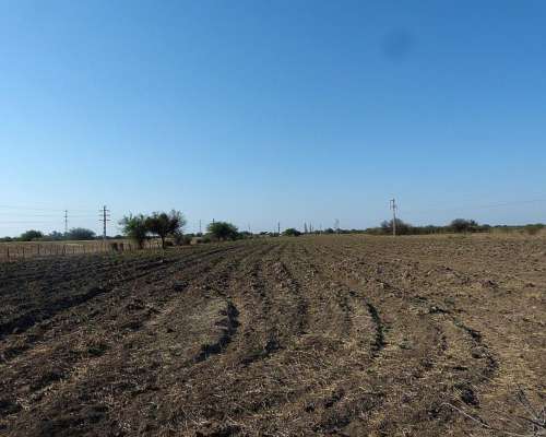 Vendo Campo de 22 Has. Cerca de San Fco. del Monte de ORO