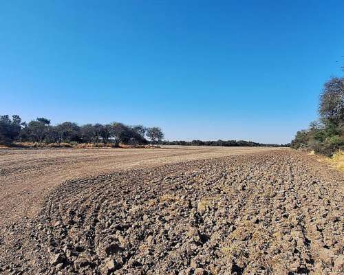 Se Vende Campo en Gancedo Chaco