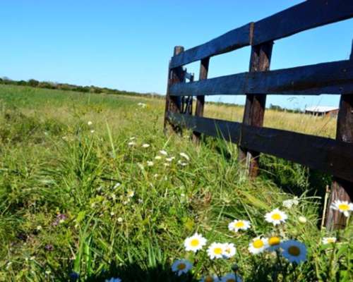 16 HA. Sobre Autovía 14 - Concepción del Uruguay (er)