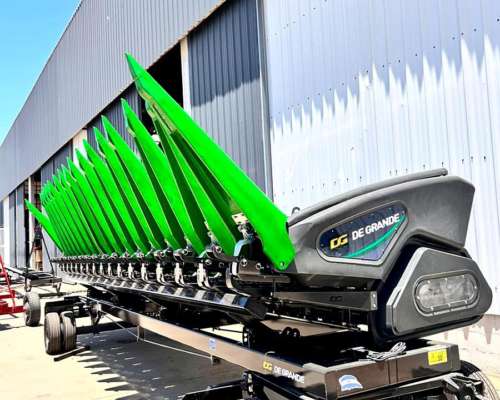 Maicero de Grande 16 a 42 DGM Serie D , Nuevo, año 2026