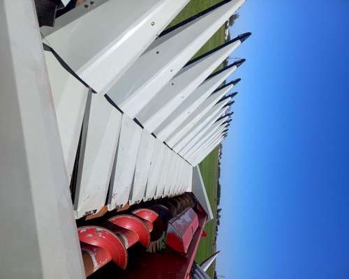 Maicero Maizco de 13 a 52 año 2019 - Reparado