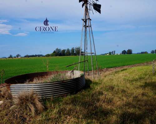 Venta - Campo - 12 Hectareas - Mechongue