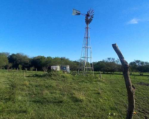 Campo Mixto 360 Hectareas