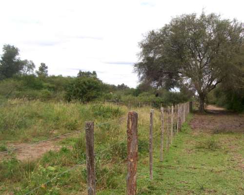 4.000 Ha Estancia en Urutau Sobre Ruta