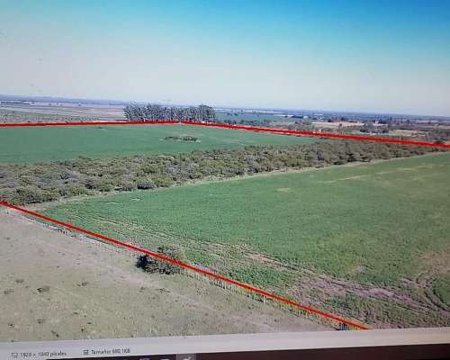 Villaguay 30 Has Ideal Proyecto