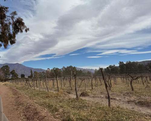 Finca Productiva en Venta – 112 Ha con Riego