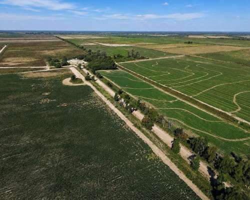 Fernández, Robles, Santiago del Estero - 1.098 Ha