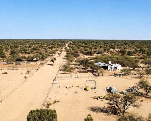 Guanaco Muerto, Cruz del Eje, Córdoba - 4.500 Ha