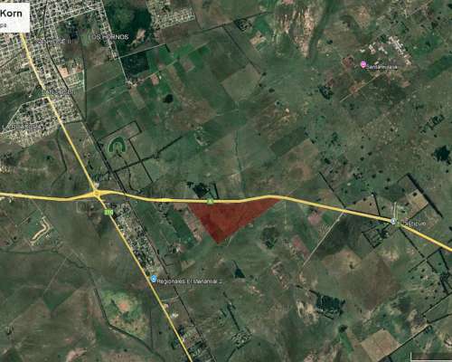 Campo 92 HC. Sobre Ruta 6 Antes de Ruta 210, Alejandro Korn