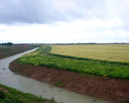 Victoria , Entre Rios - 10000ha