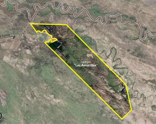 714 Hectáreas - Campo en Malargue Mendoza Argentina