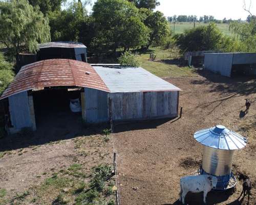 Fondo de Comercio: Tambo en Producción (monte, BS. As.)