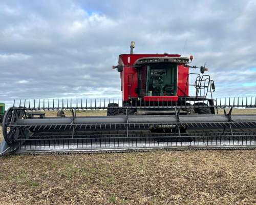 Massey Ferguson 9790 con Draper Poersantti
