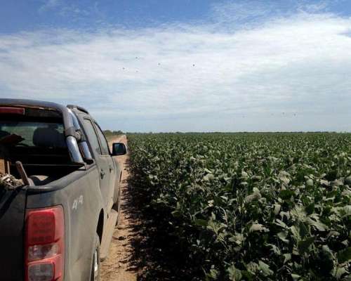 Pinto, Aguirre, Santiago del Estero - 4.593 Ha