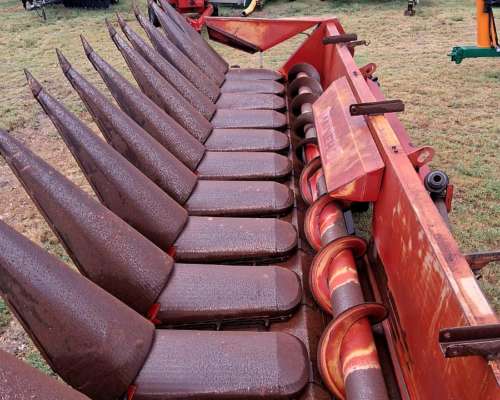 Maicero Mainero 2000 de 11 a 52