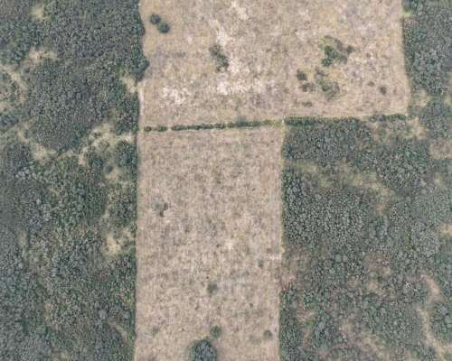 227 HA. Ganadero. Monigotes (santa Fe).