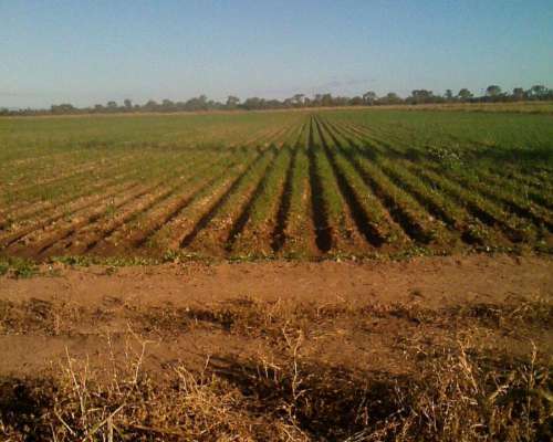 Farm-país sede piso de lujo caza bastón ansitzstock dispersan sede oportunidad