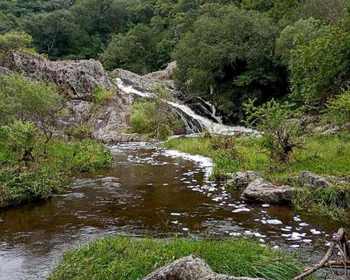 Campo 200 HA. con Rios, Casa e Internet