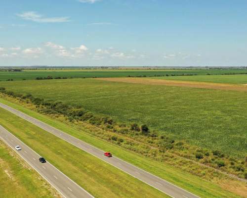 Piquillín, Río Primero, Córdoba - 56 Ha