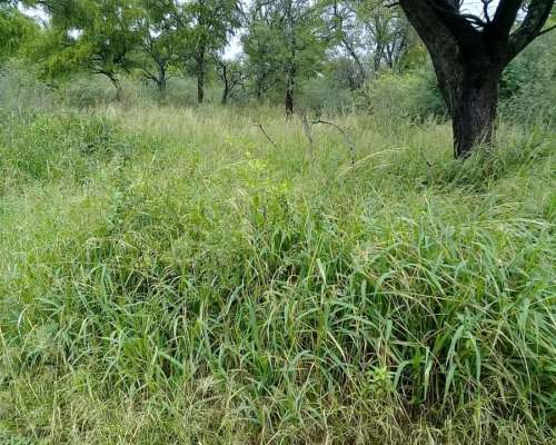 Vendo Campo Establecimiento Don Angel