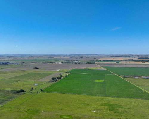 Pcia. de Santa FE - Perez 265 Has